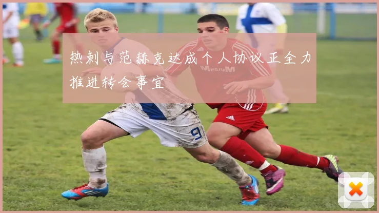 热刺与范赫克达成个人协议正全力推进转会事宜